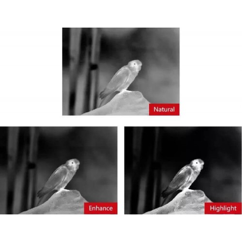 Тепловизионный бинокуляр Guide TN430 400х300, ø35мм, лазерный дальномер в Щелково