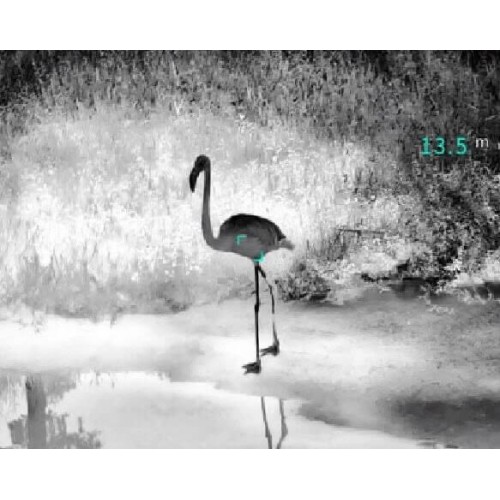 Тепловизионный бинокуляр Guide TN430 400х300, ø35мм, лазерный дальномер в Щелково