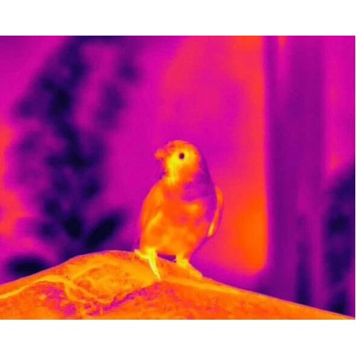 Тепловизионный бинокуляр Guide TN430 400х300, ø35мм, лазерный дальномер в Щелково